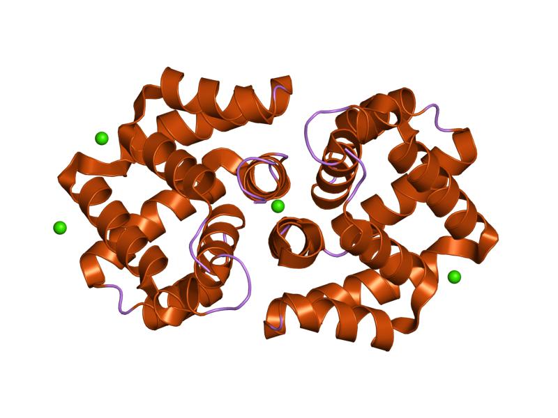 PDB 2ejn EBI