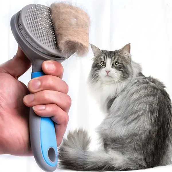 Hướng Dẫn Cách Chải Lông Cho Mèo Hiệu Quả