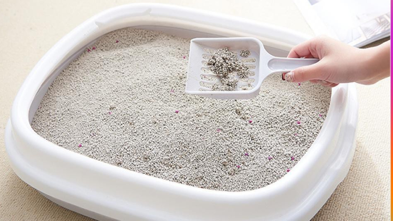 Hộp cát vệ sinh cho mèo với tay cầm xẻng nhựa xúc cát bên trong.