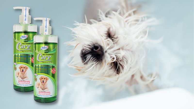 Review sữa tắm chó mèo Bio Care đặc trị ve rận bọ chét