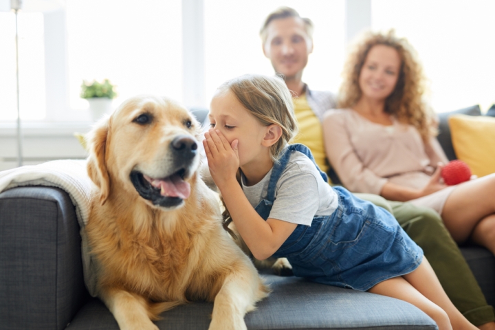 shutterstock1170192274 21452357