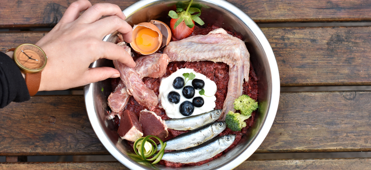What Is Raw Pet Food | Biologically Appropriate Natural Dog & Cat Food –  RawFedPets