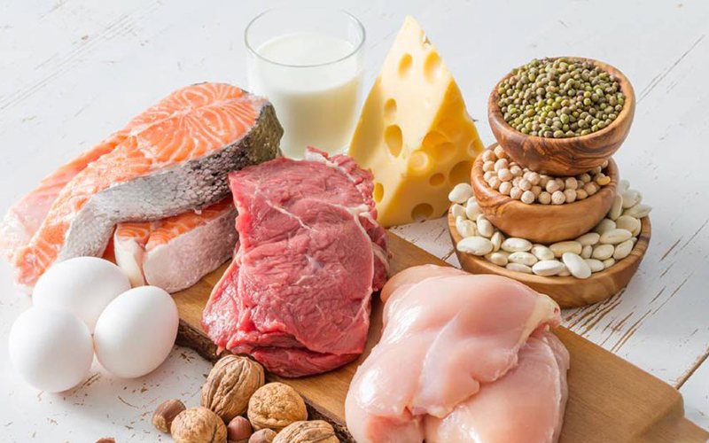 Các loại thực phẩm giàu protein bao gồm cá hồi, thịt bò, thịt gà, trứng, phô mai và các loại đậu.