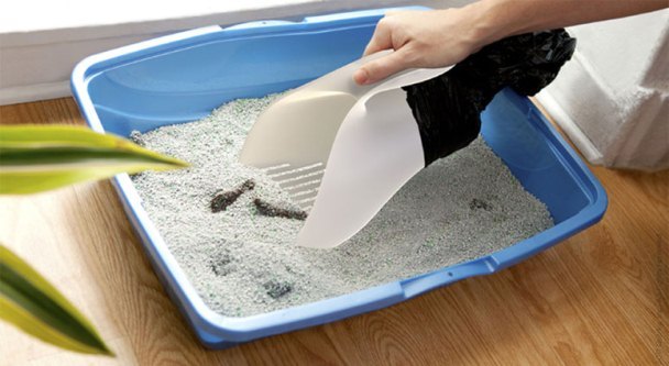 SẢN XUẤT VÀ PHÂN PHỐI CÁT VỆ SINH CHO MÈO GIÁ RẺ TẠI HÀ NỘI – CÁT VỆ SINH  CHO MÈO GIÁ RẺ TẠI HÀ NỘI