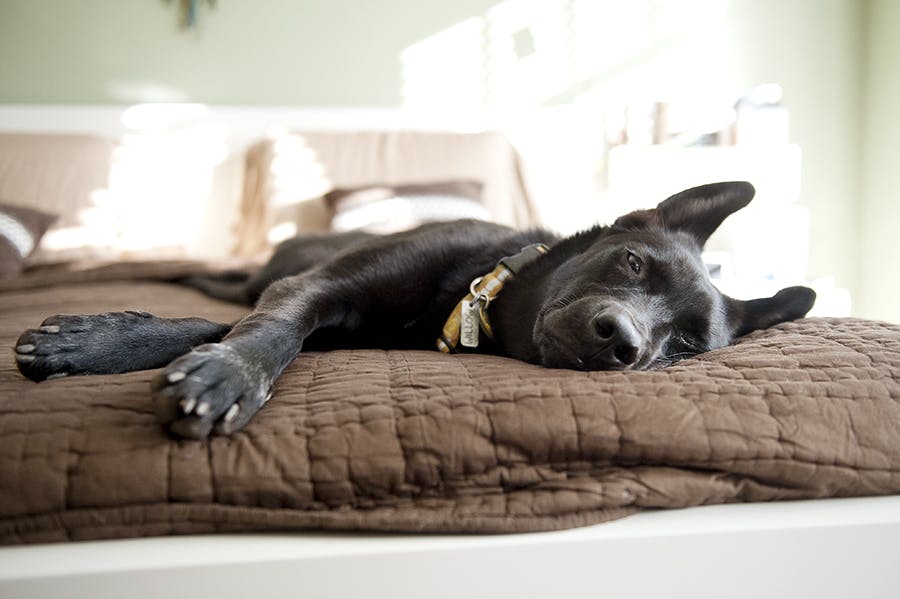 Relax | Positively.com