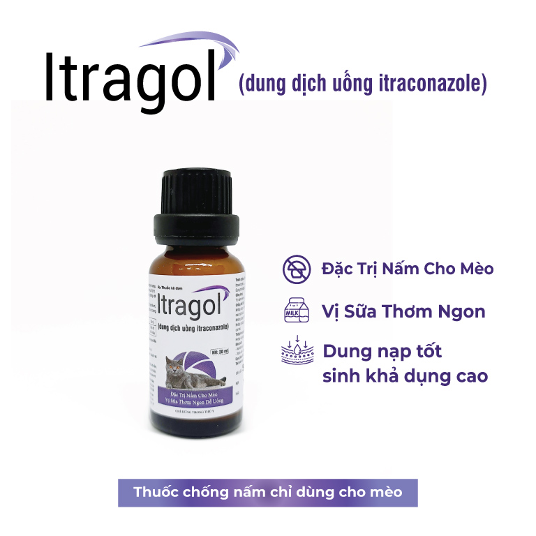 Itragol dung dich uống itraconazole đặc trị nấm cho mèo - Tiến Thắng Vet