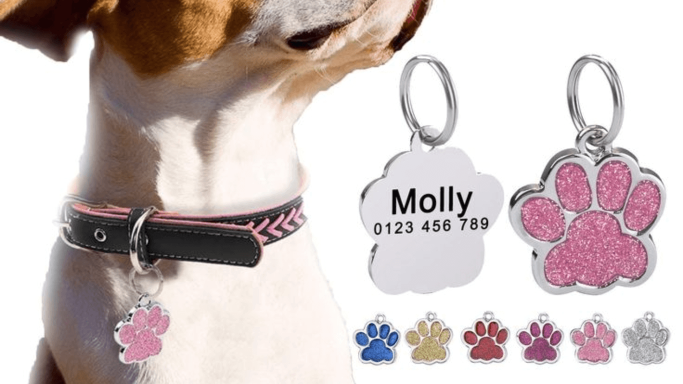 Những điều cần biết khi khắc thông tin lên bảng tên chó mèo – Mozzi Pet Shop