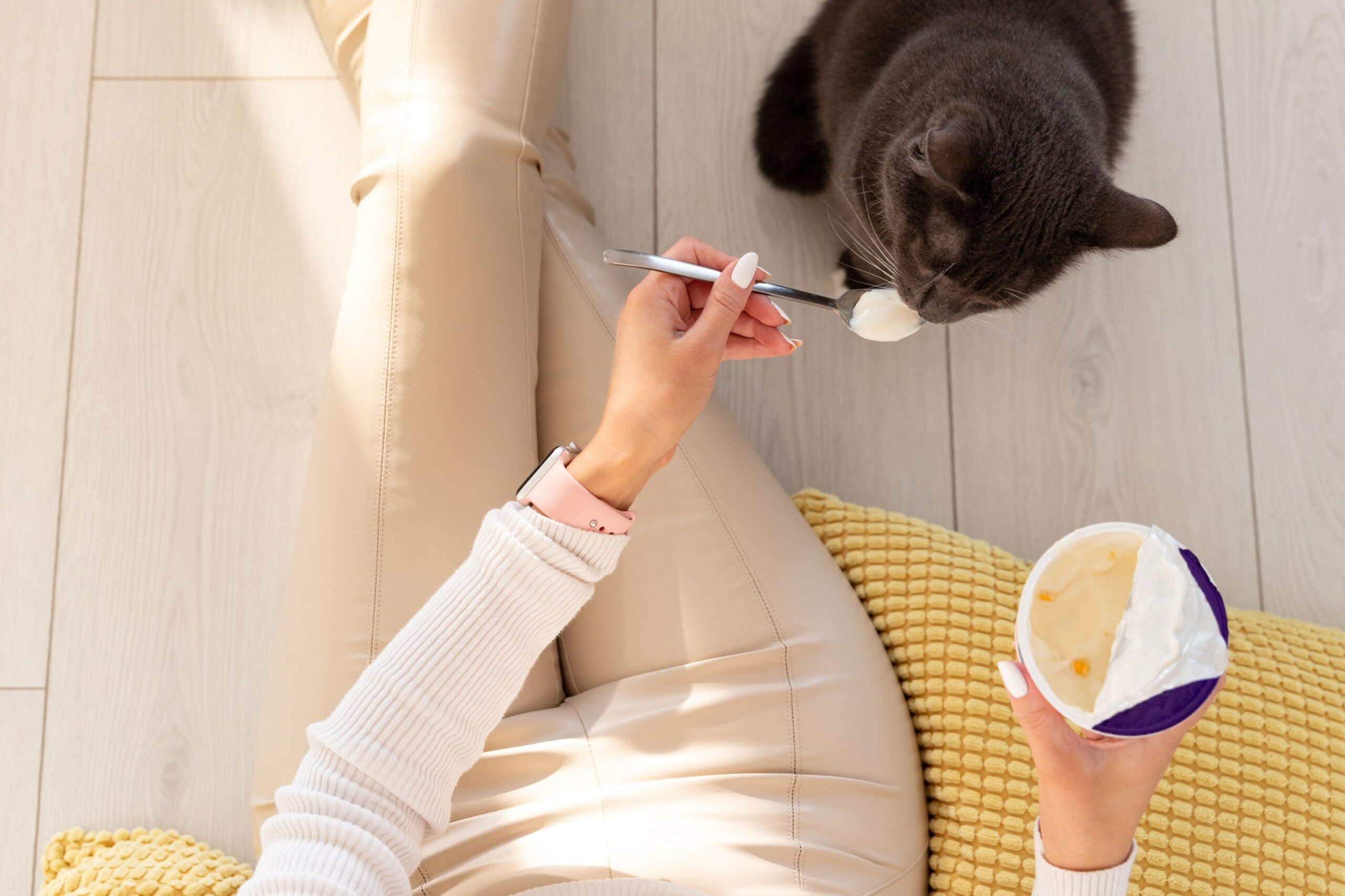 can cats eat yogurt a delicious but controversial snack genius litter scaled