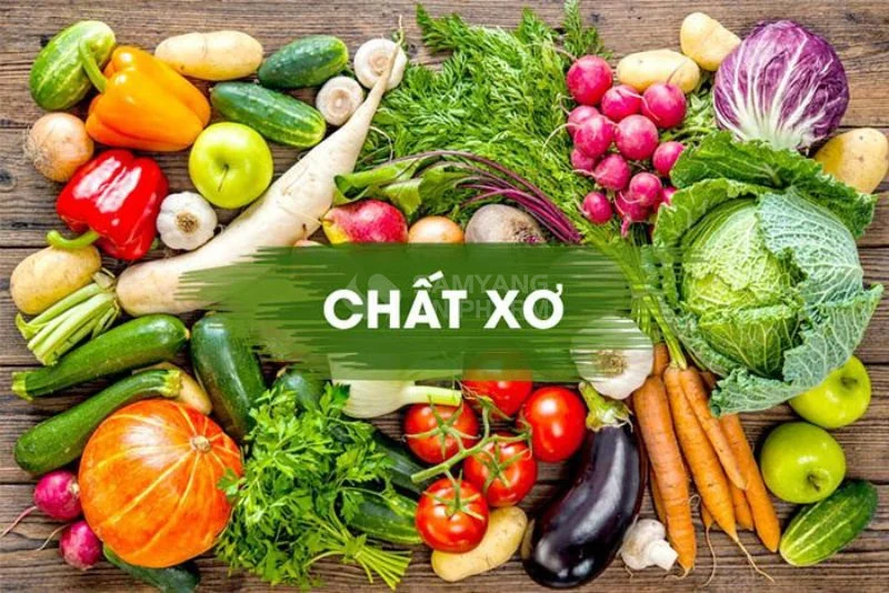 Mèo có cần thức ăn giàu chất xơ không?
