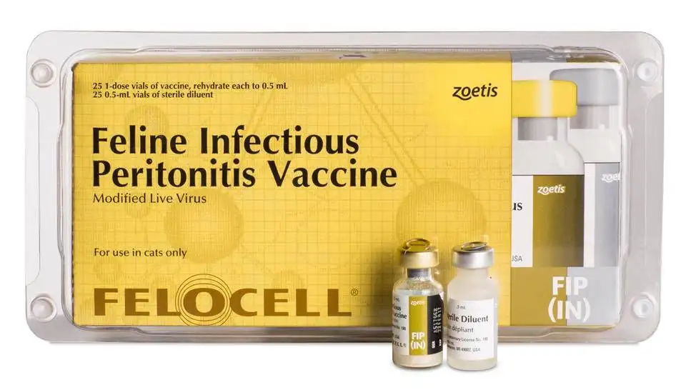 Vaccine phòng 4 bệnh cho mèo gồm những bệnh gì
