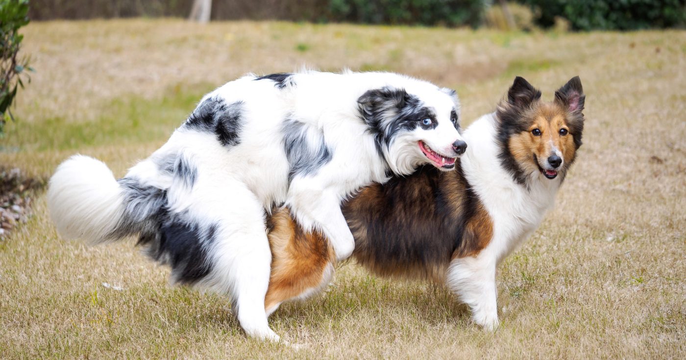 iStock 955603662 e1611673434828 1400x735 1