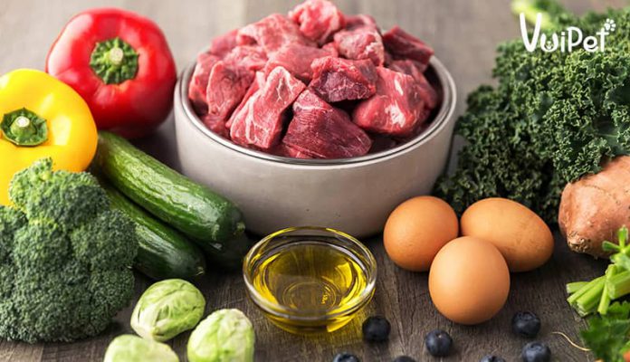 Cho chó con ăn gì? Thức ăn chó con chi tiết theo từng độ tuổi
