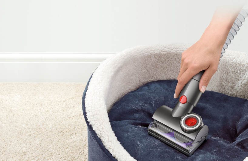 Cách Khử Mùi Hôi của Chó Mèo Trong Nhà: Những Bí Quyết Đơn Giản và Hiệu
